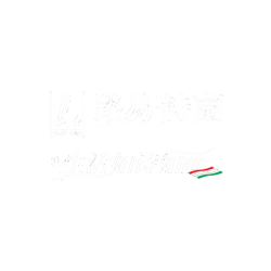 视频~意大利路易诗兰进口艺术涂料优势